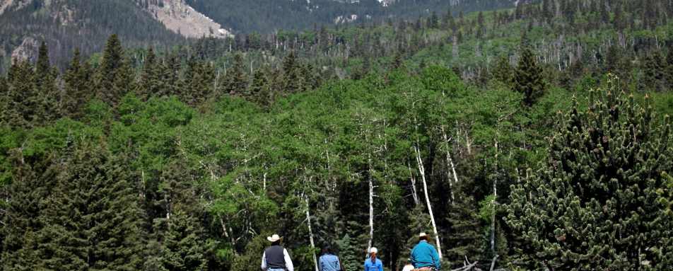 Horse Riding at Vermejo