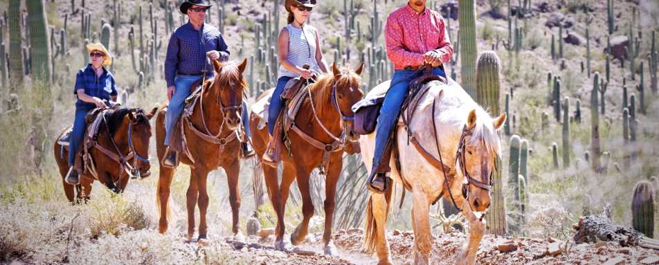 Horse Riding at White Stallion - White Stallion Ranch