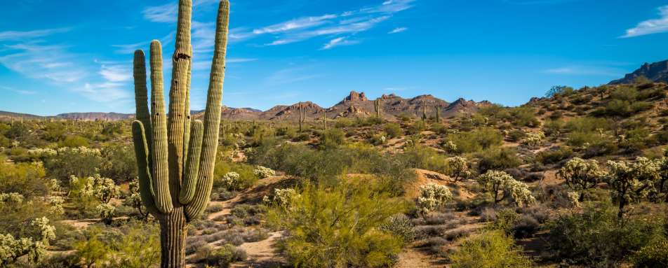 Tucson, Arizona - White Stallion Ranch