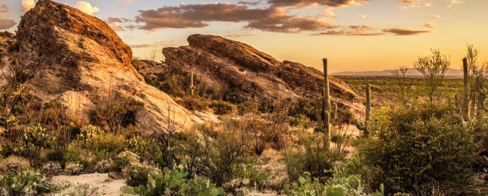Tucson, Arizona - White Stallion Ranch