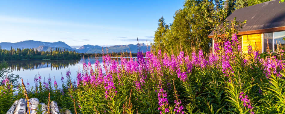 Exterior - Winterlake Lodge