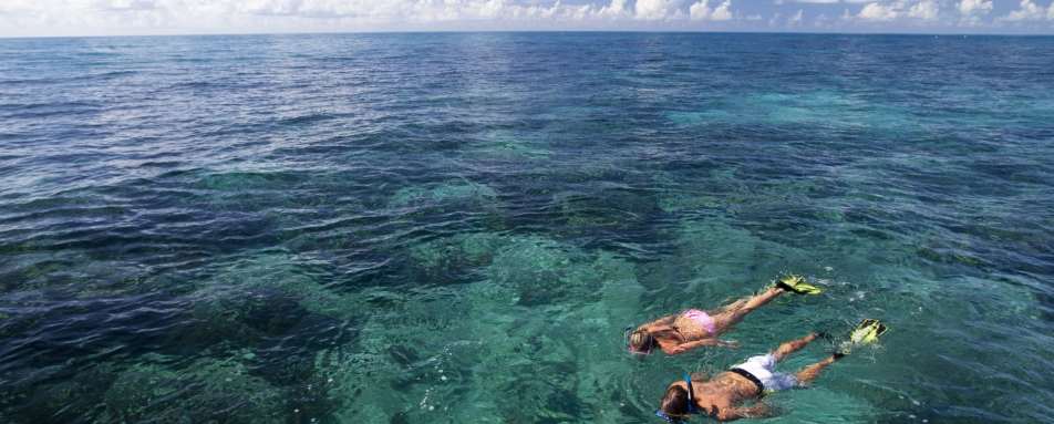 Florida Keys Snorkelling Charter
