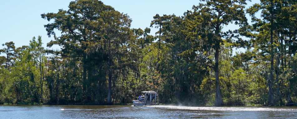 VIP Swamp Airboat Tour New Orleans