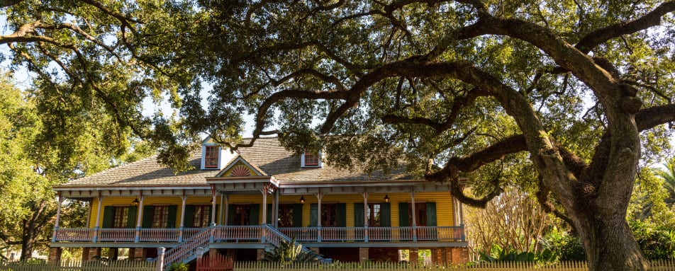 Private Plantation History Tour New Orleans