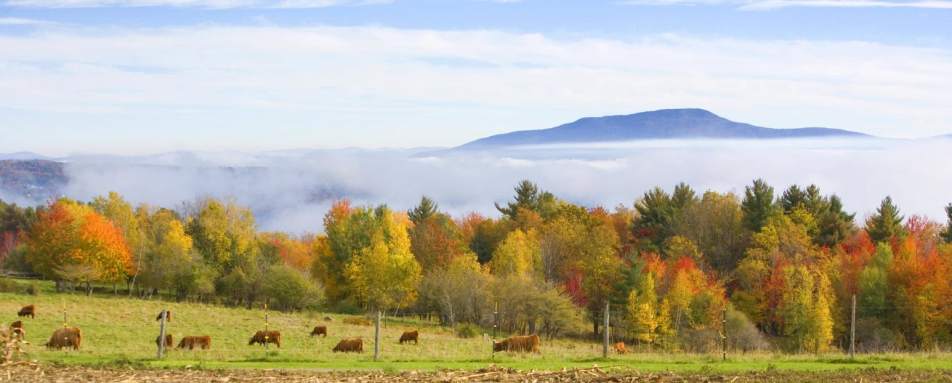 Rural idyll Vermont - - Gourmet New England