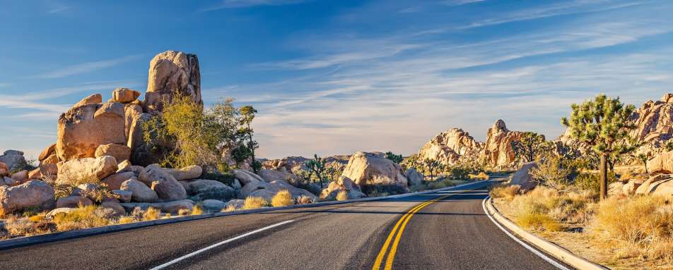 Joshua Tree National Park - Southern California Road Trip