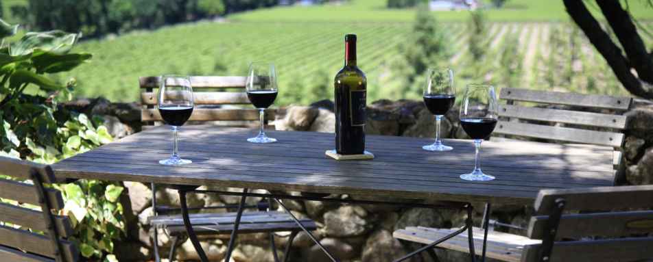 Vineyard views - Gourmet road trip