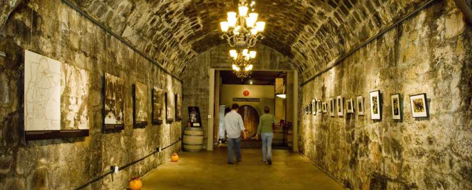 Wine cellar exploring - San Francisco, Napa & Sonoma 