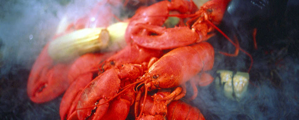 Lobster Yard Bake - Simply New England Family Summer Holiday 