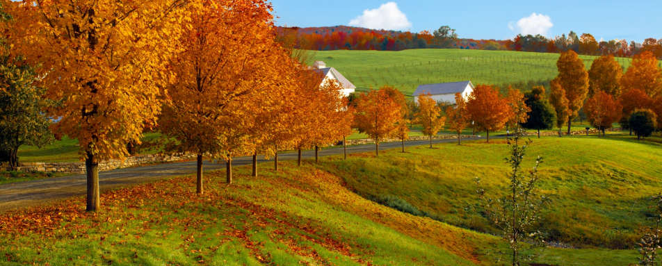 Woodstock in the Fall - Boston and Vermont 