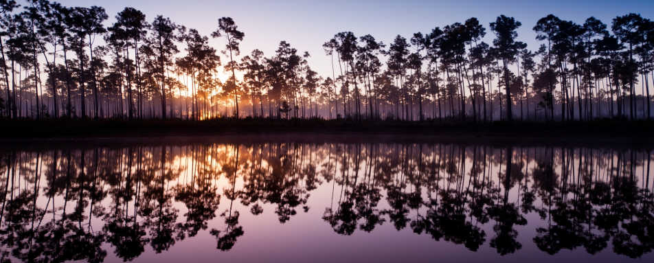 Everglades National Park  