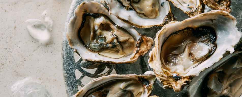 Oysters 