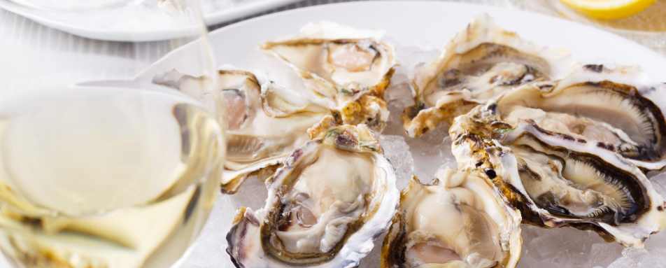 Oysters 