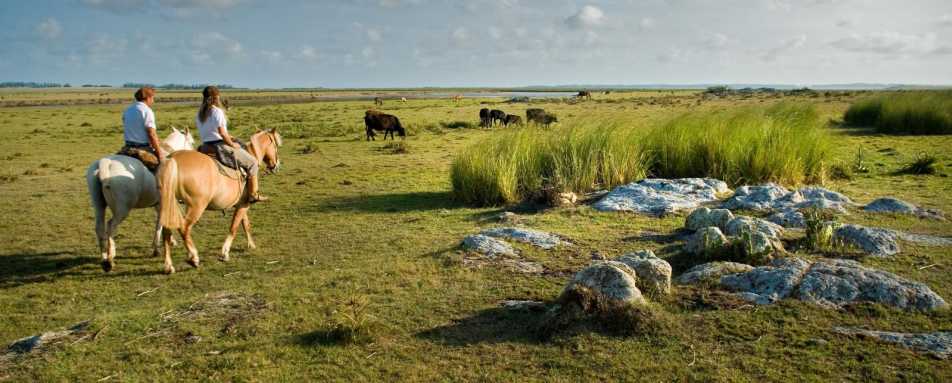 Gauchos - Estancia Vik