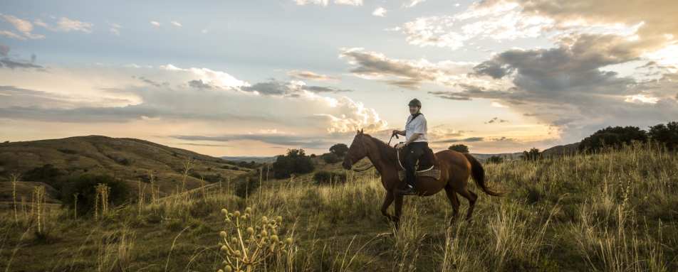 El Balcon Del Abra - Horse Riding 
