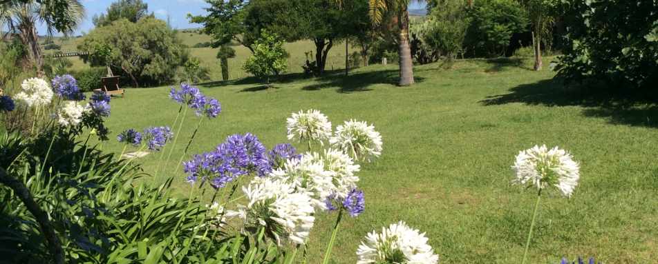 El Balcon Del Abra - Gardens 
