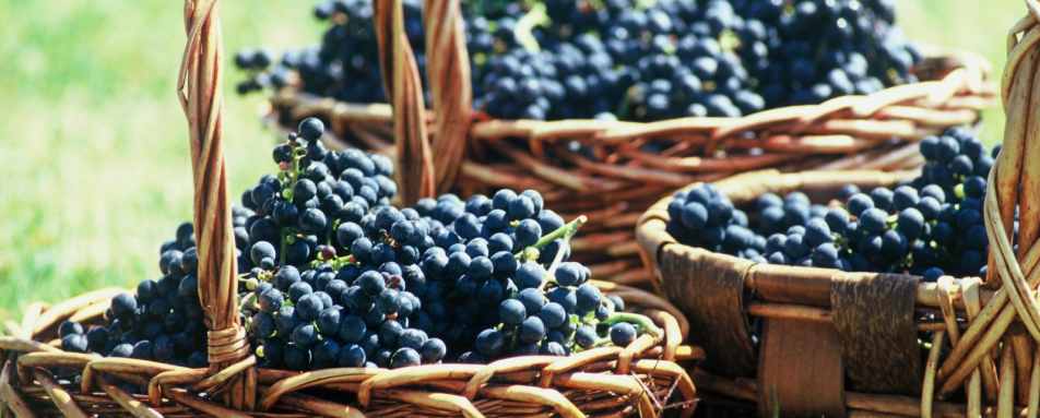 Family Fun in Uruguay 