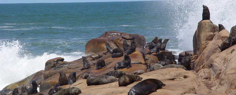 Family Fun in Uruguay 