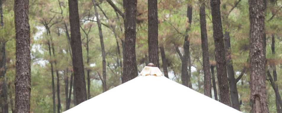 Thien An Hill Picnic - La Résidence Hôtel & Spa Hue