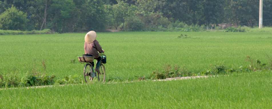 Hanoi Countryside 