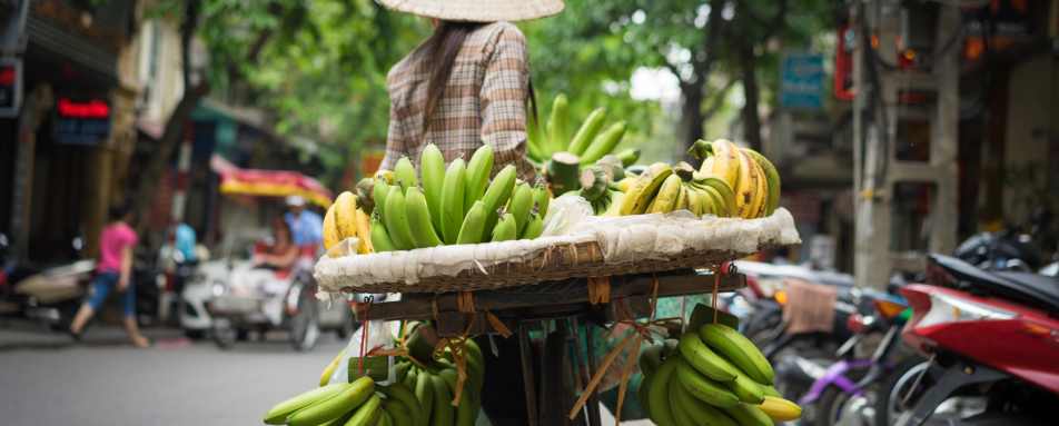 Hanoi Fruit Seller 