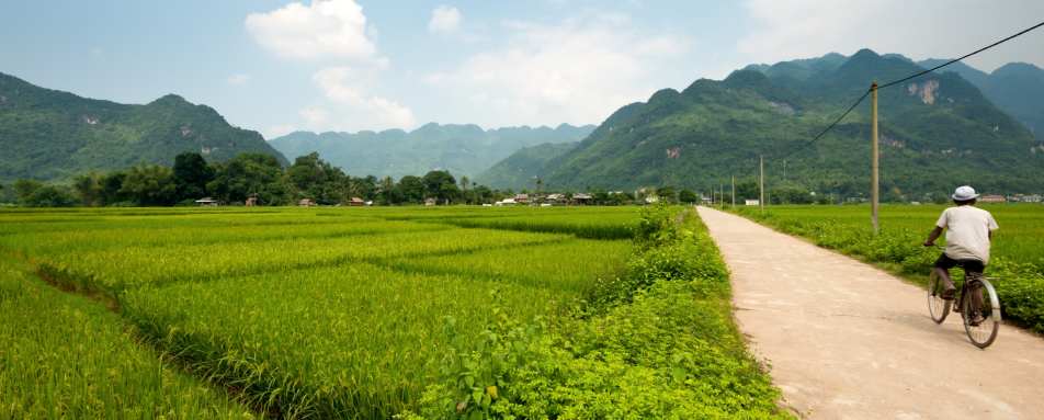 Mai Chau 