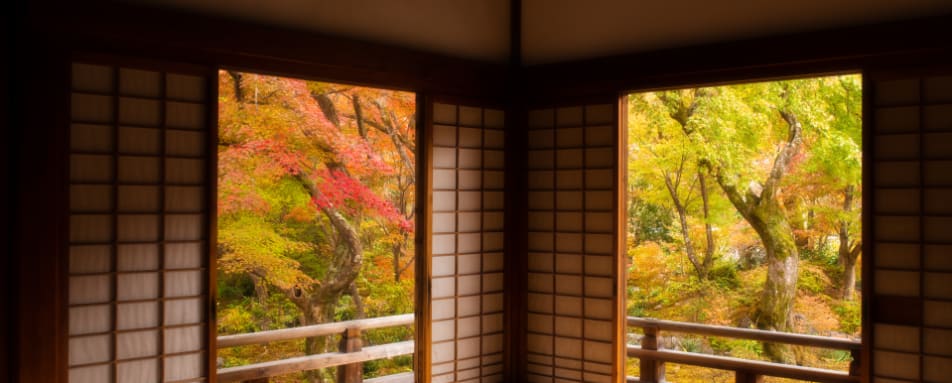 Autum Forest Through Doors 