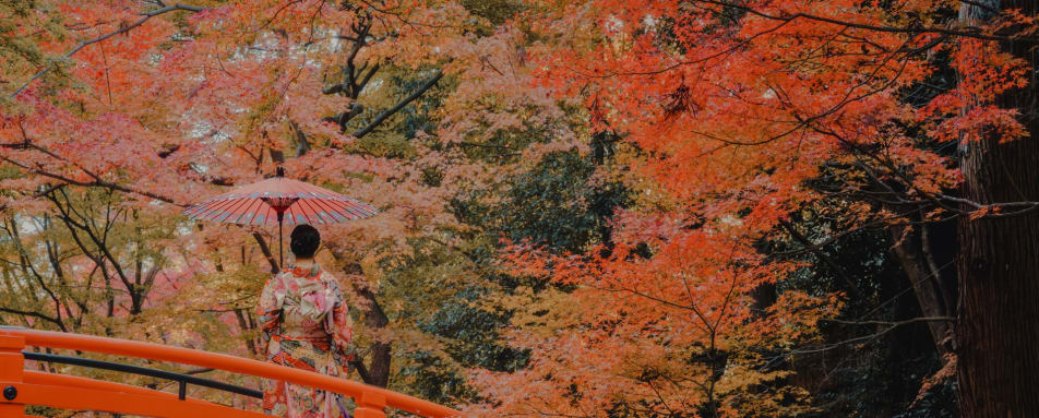 Geisha in Autumn 