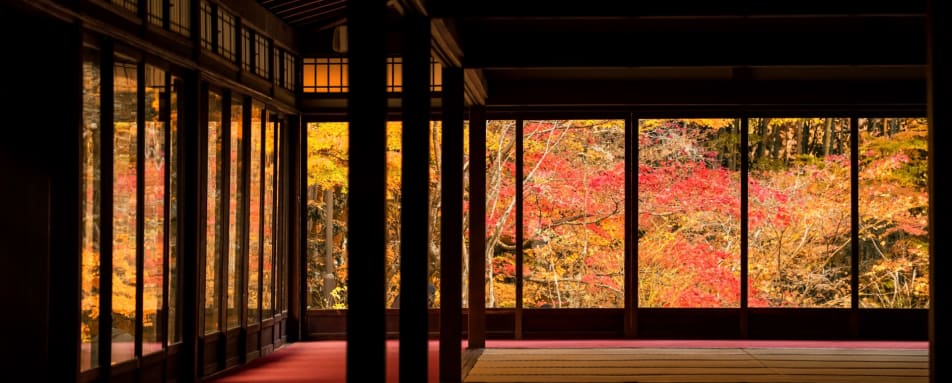 Autumn Foliage Through Window  