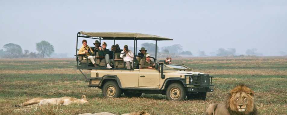 Game Drive - Busanga Bush Camp