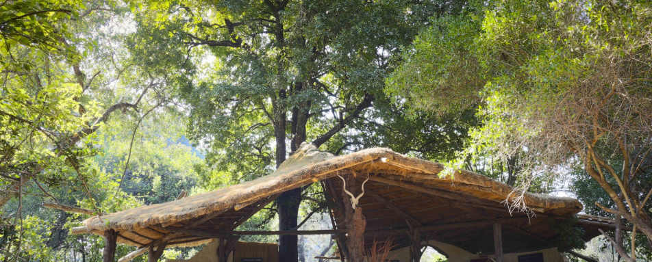 Jeffery and McKeith Safaris