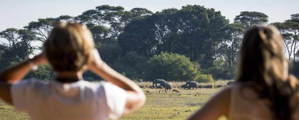 Jeffery and McKeith Safaris