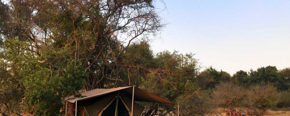 Fly-camping - Ntemwa Busanga Camp