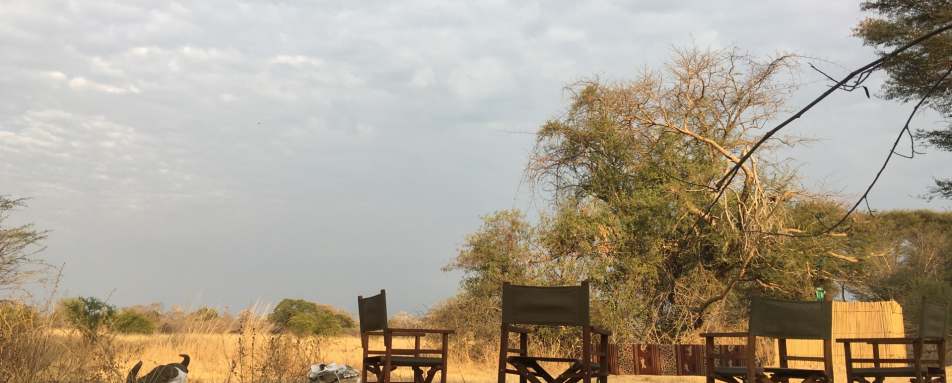 Bush dining - Ntemwa Busanga Camp