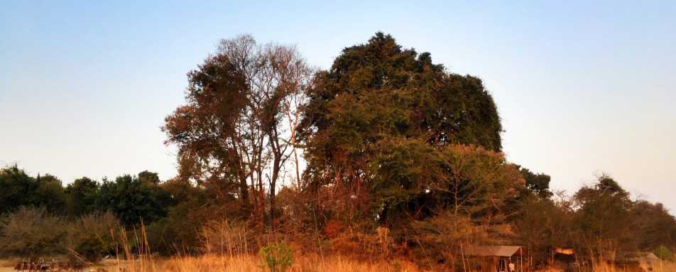 Bush camp - Ntemwa Busanga Camp