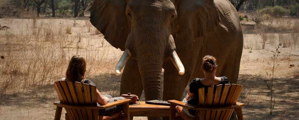 Friendly visitor at Old Mondoro