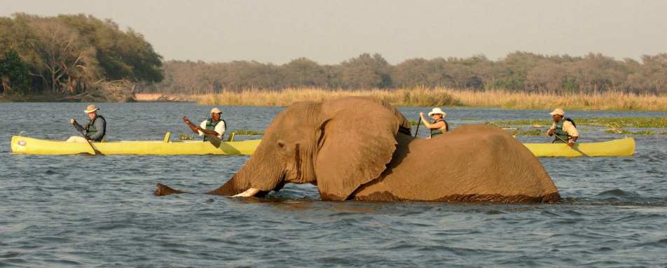 Elephant crossing at Old Mondoro