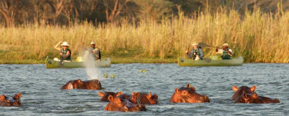 Canoe safari at Old Mondoro