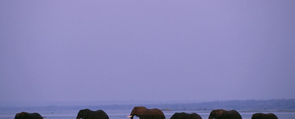 Elephants crossing - Old Mondoro