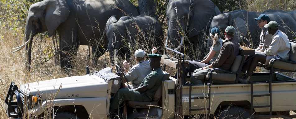Game Drive - Robin Pope Luangwa Bush Camping