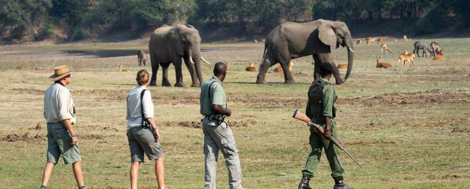 Walking Safari - Robin Pope Luangwa Bush Camping
