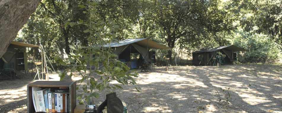 Camp grounds - RPS Mobile Camp