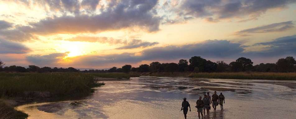 Sunset walking safari - RPS Mobile Camp
