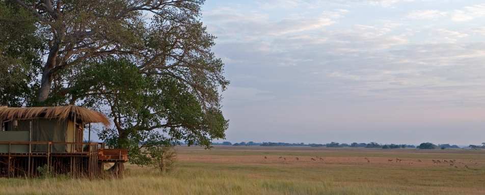 Landscape - Shumba Camp