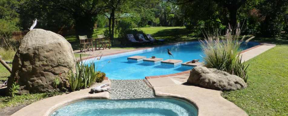 Swimming pool  - Waterberry Zambezi Lodge