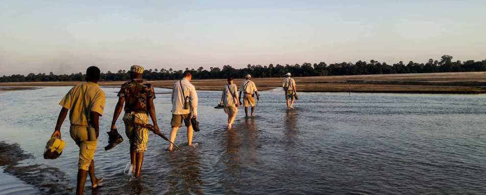 Walking Safari in Luangwa 