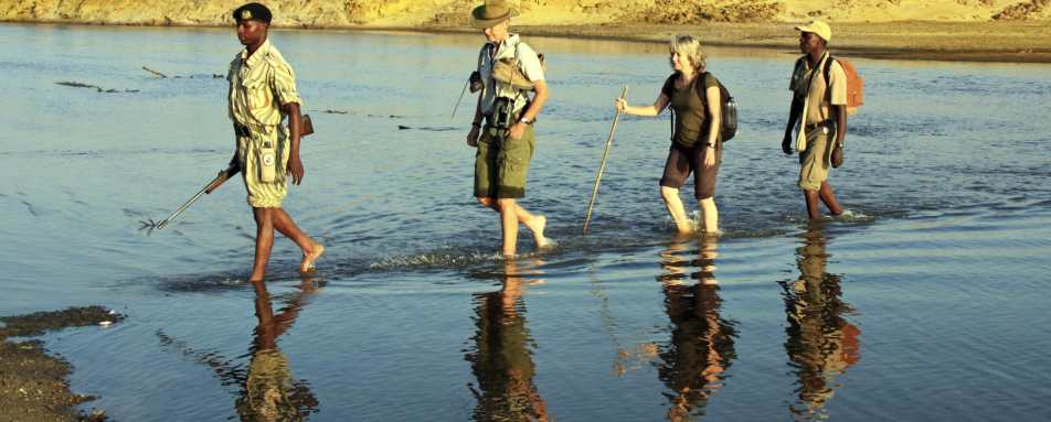 Walking safari - Best of Zambia