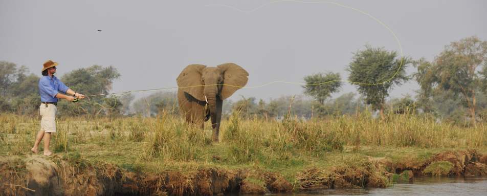 Fishing on Zambezi - Best of Zambia