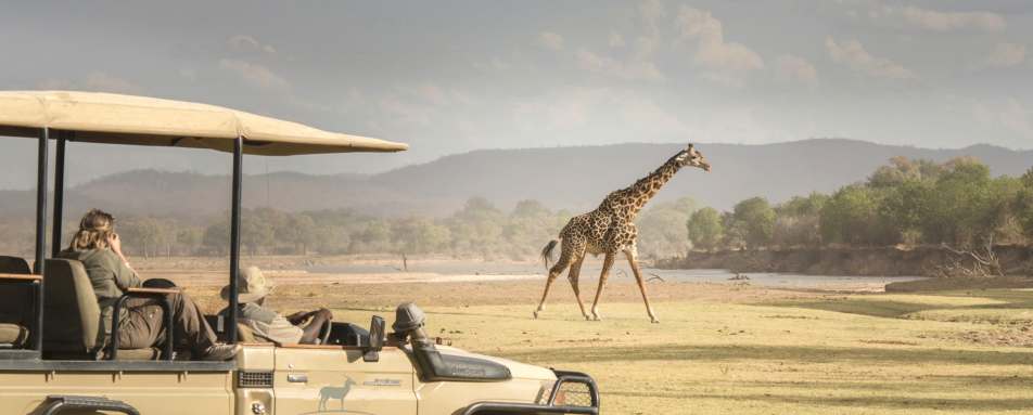 Piku Ridge game drive 