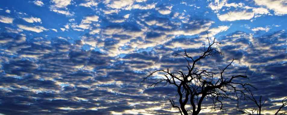 Dawn in Hwange - Bomani Tented Lodge 